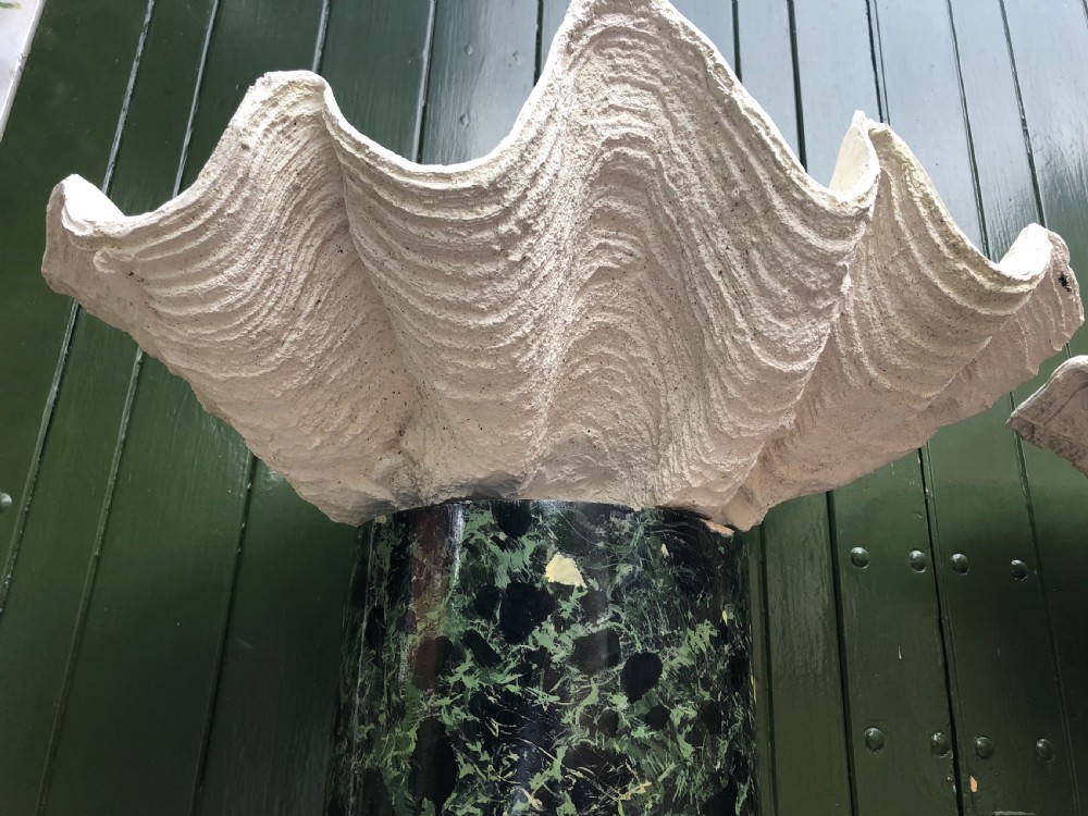 A pair of large off-white composition giant clam shells featuring deep wavy scalloped edges and textured exterior growth ridges. View III