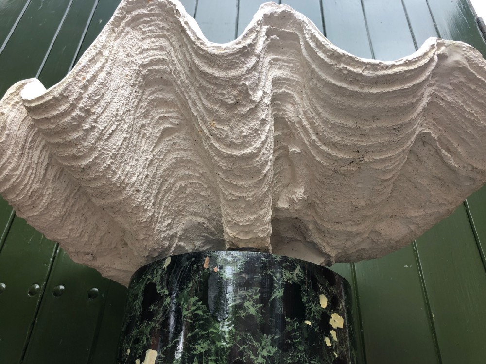 A pair of large off-white composition giant clam shells featuring deep wavy scalloped edges and textured exterior growth ridges. View IV