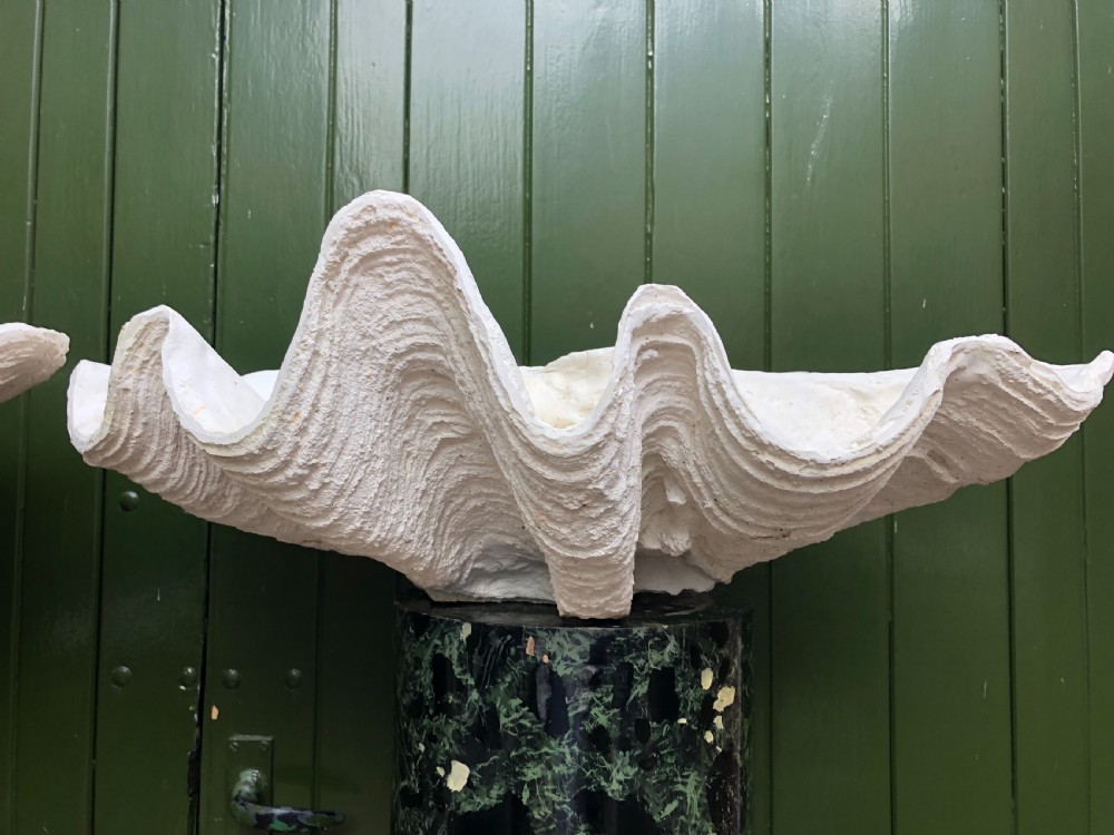 A pair of large off-white composition giant clam shells featuring deep wavy scalloped edges and textured exterior growth ridges. View VIII