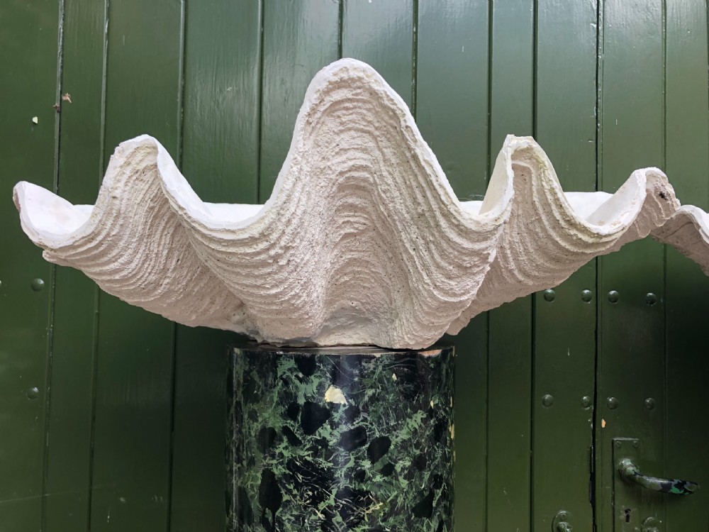 A pair of large off-white composition giant clam shells featuring deep wavy scalloped edges and textured exterior growth ridges. View IX