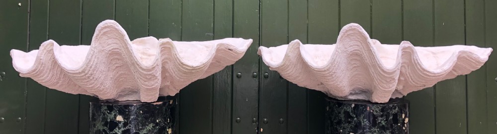 A pair of large off-white composition giant clam shells featuring deep wavy scalloped edges and textured exterior growth ridges. View XVIII