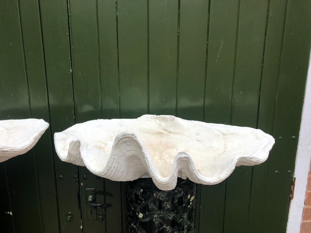 A pair of large off-white composition giant clam shells featuring deep wavy scalloped edges and textured exterior growth ridges. View XIX