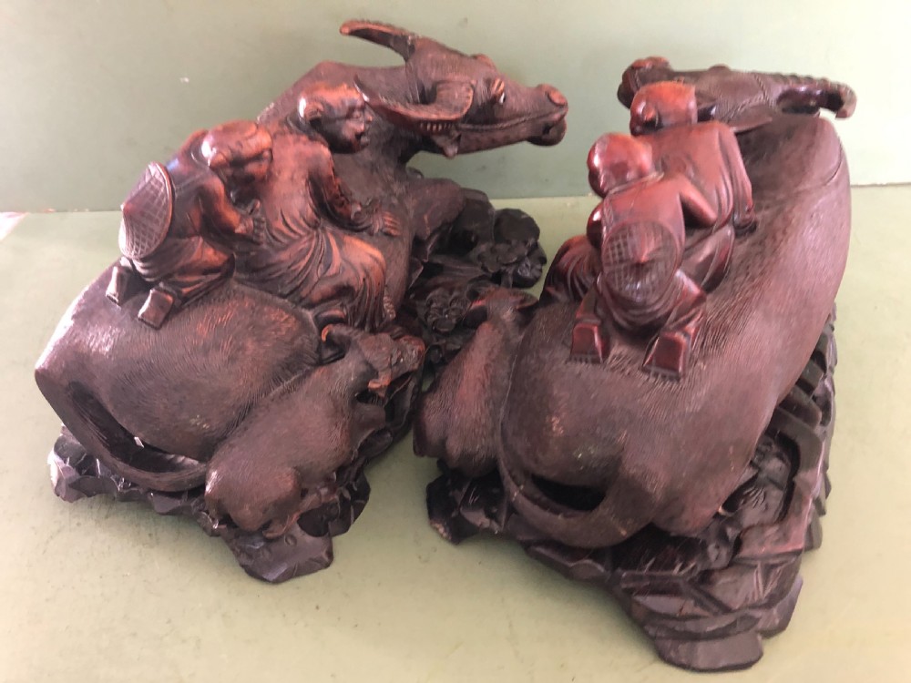 Large pair of late C19th Chinese Qing Dynasty carved hardwood water buffaloes and herd-boys . View XIV