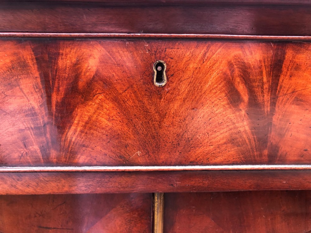 An early nineteenth-century flame mahogany side cabinet with arch-panelled double doors, top drawer, and brass fittings. View XIII