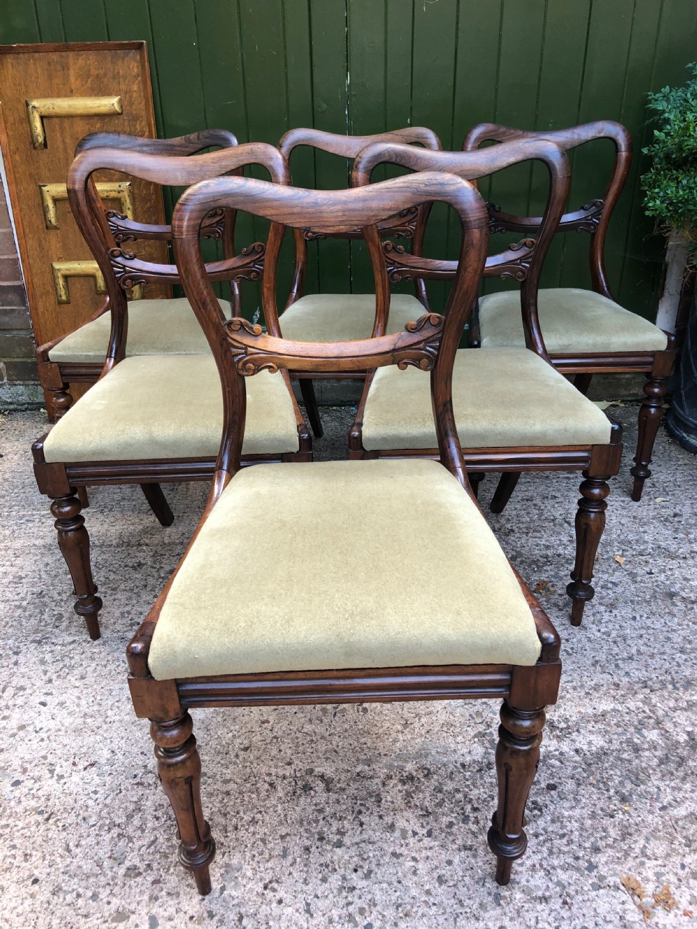 Set of 6 early C19th William IV period carved rosewood dining chairs. View II