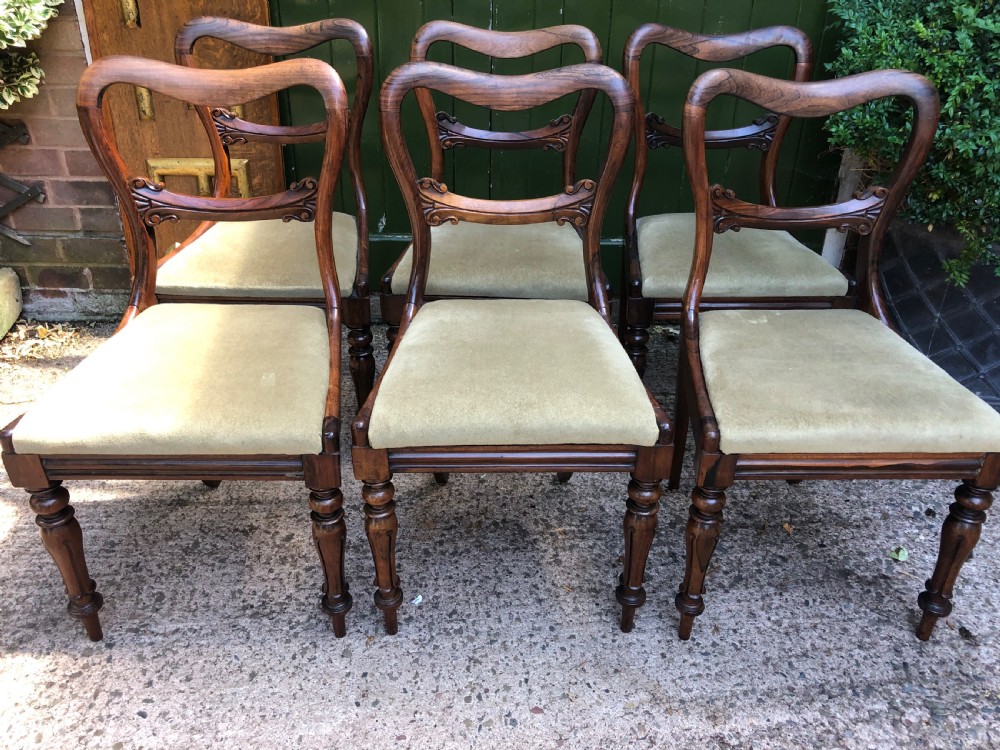 Set of 6 early C19th William IV period carved rosewood dining chairs. View III