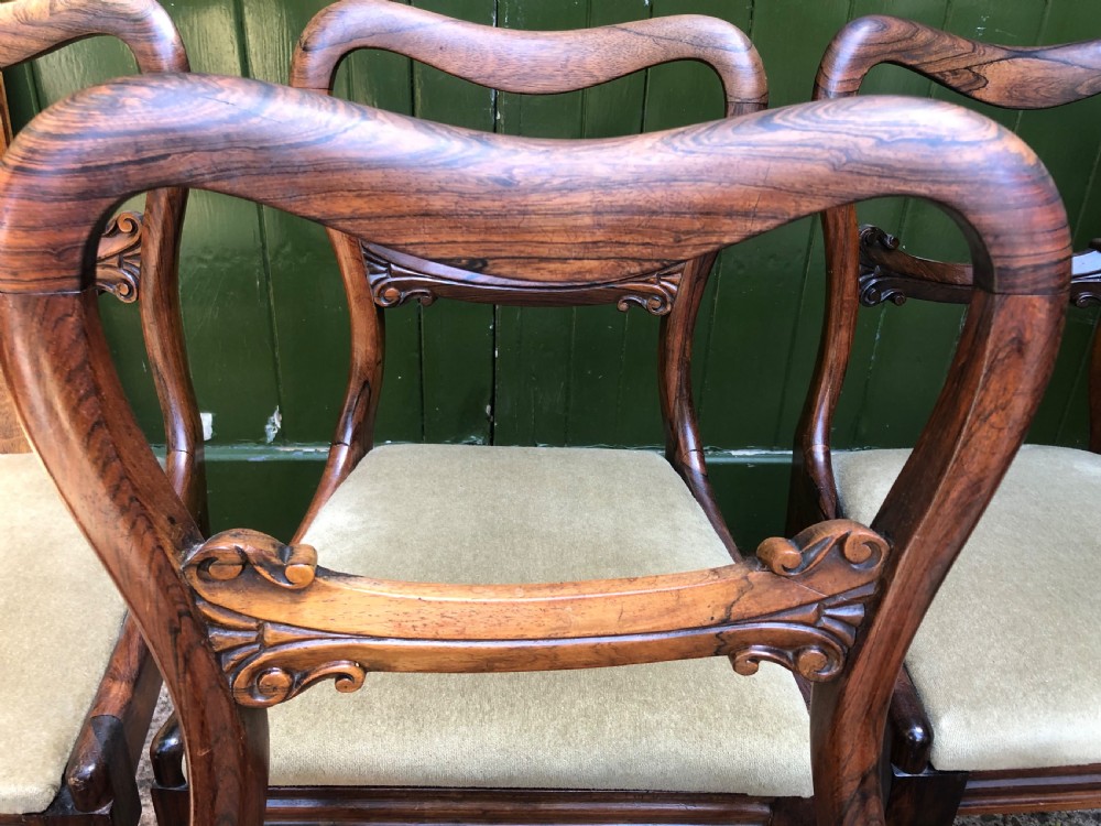 Set of 6 early C19th William IV period carved rosewood dining chairs. View V