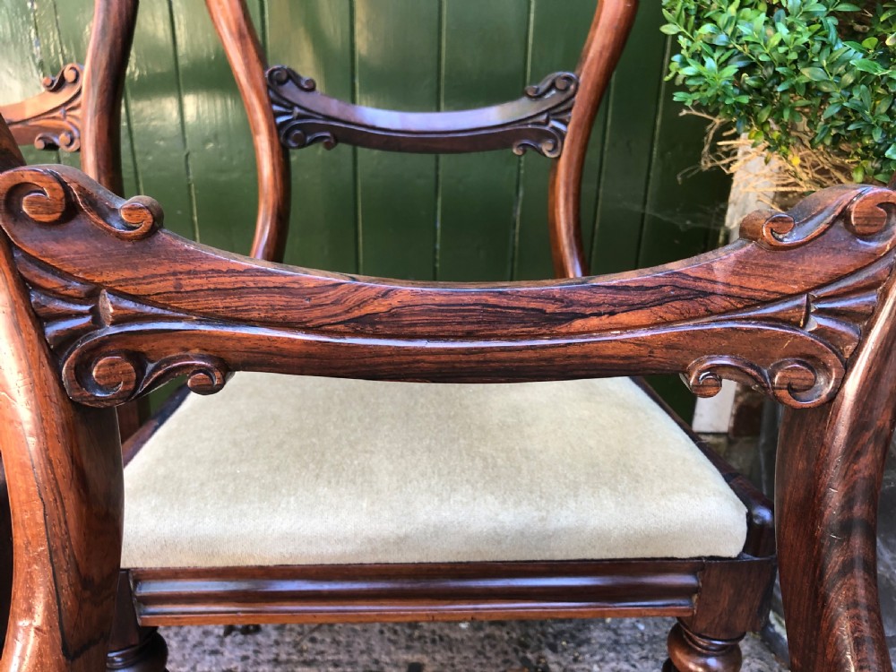 Set of 6 early C19th William IV period carved rosewood dining chairs. View VII