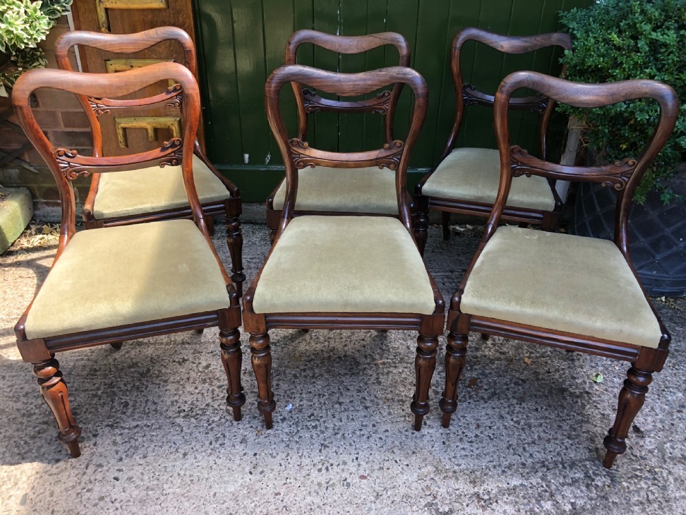 Set of 6 early C19th William IV period carved rosewood dining chairs. View VIII