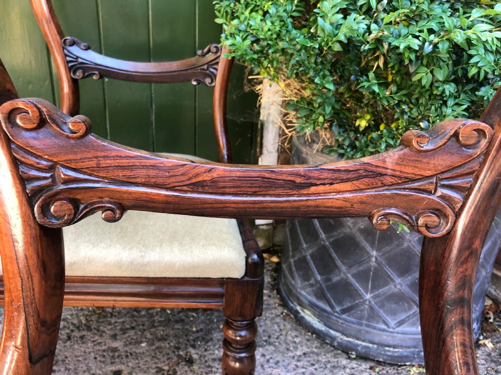 Set of 6 early C19th William IV period carved rosewood dining chairs. View XII
