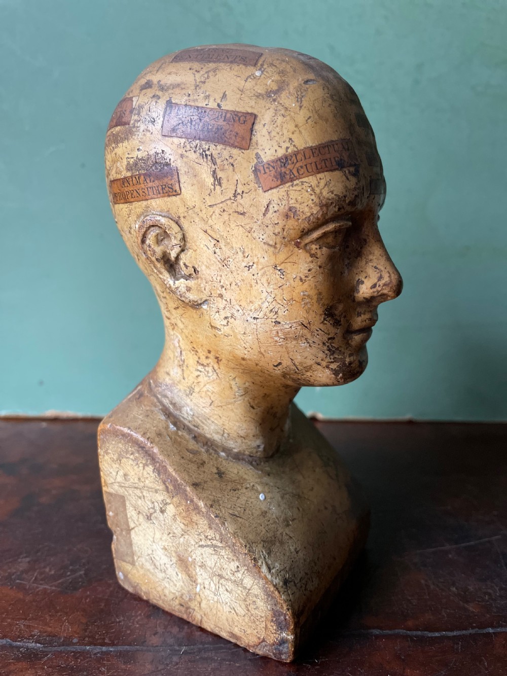 Interesting and rare C19th plaster phrenology head by A.L Vago . View III