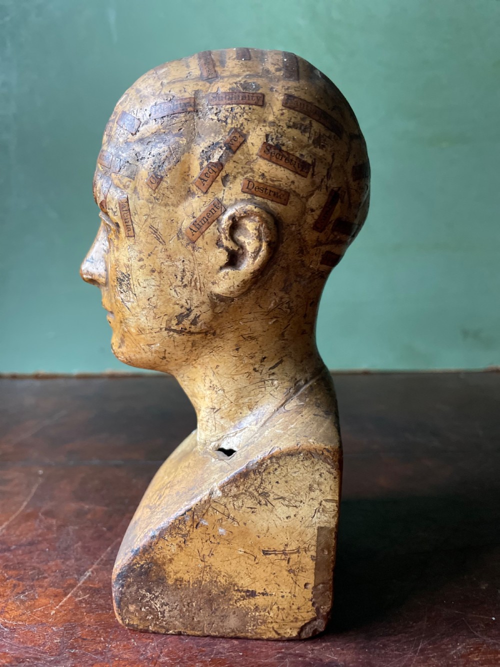 Interesting and rare C19th plaster phrenology head by A.L Vago . View V