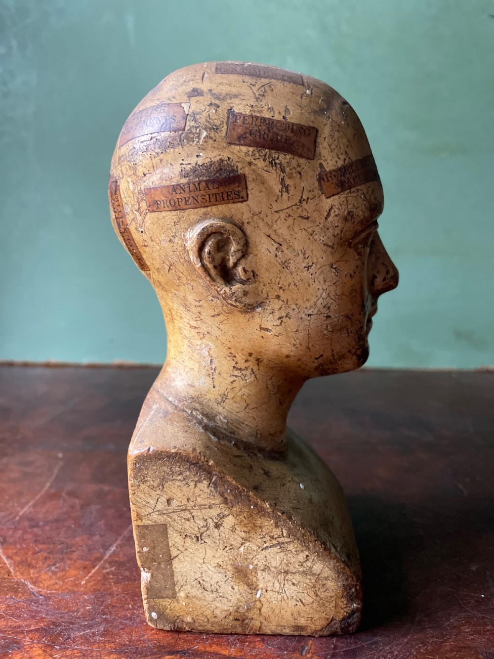 Interesting and rare C19th plaster phrenology head by A.L Vago . View VII