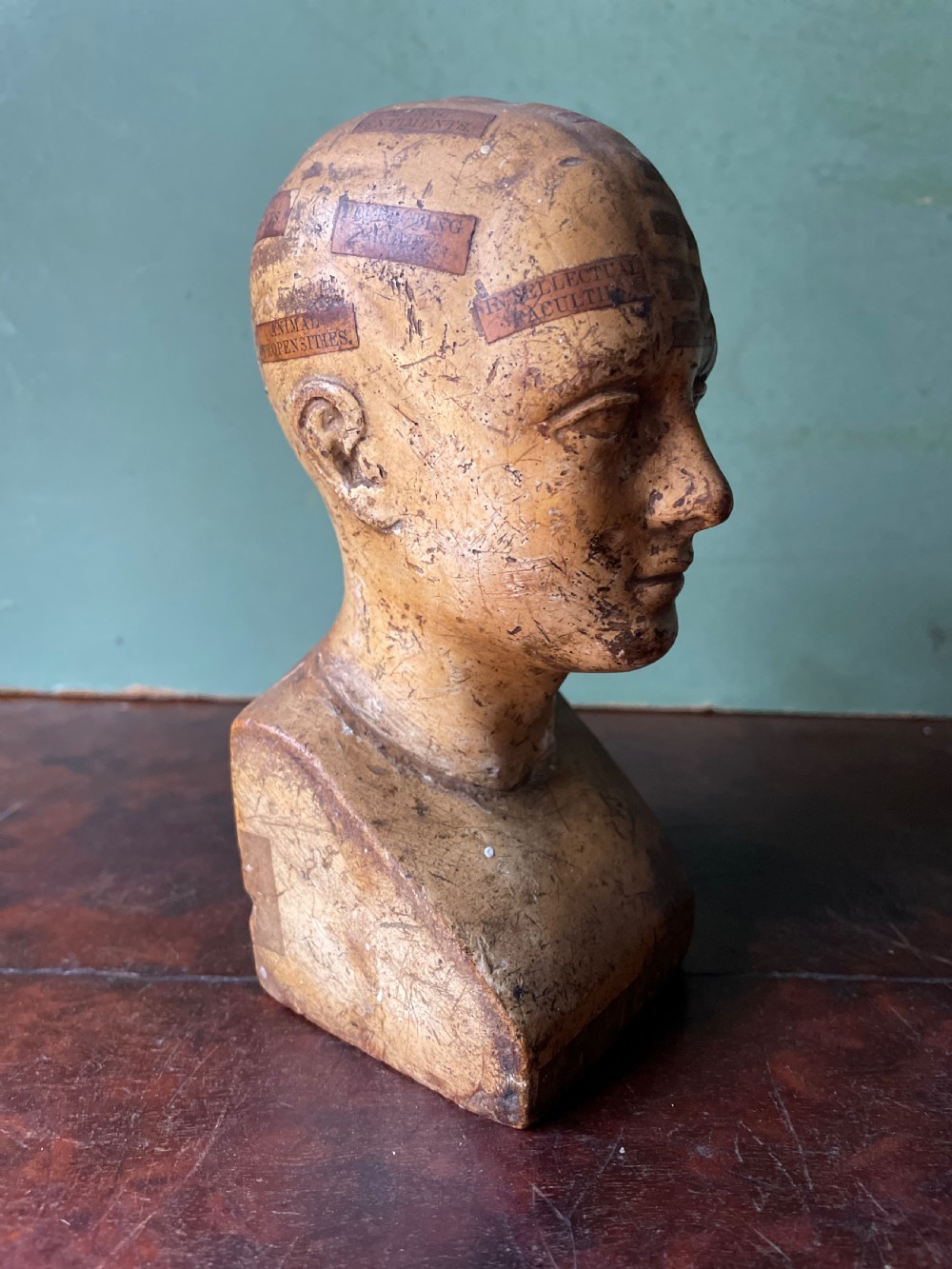 Interesting and rare C19th plaster phrenology head by A.L Vago . View VIII