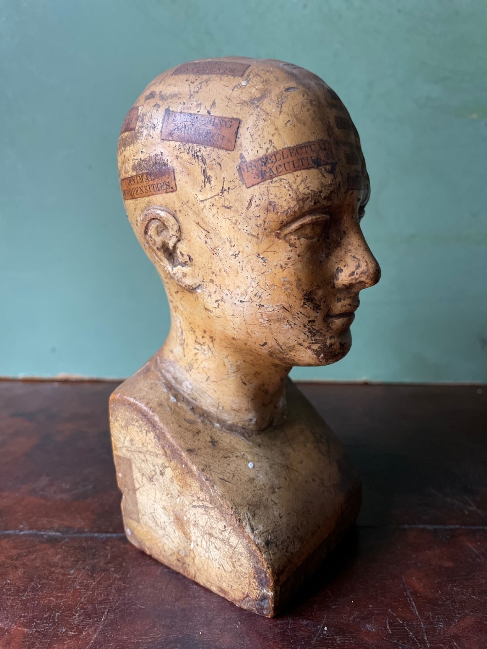 Interesting and rare C19th plaster phrenology head by A.L Vago . View IX
