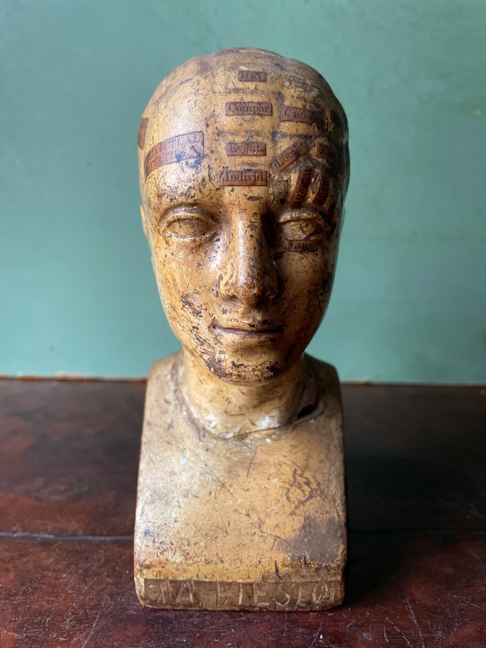 Interesting and rare C19th plaster phrenology head by A.L Vago . View X