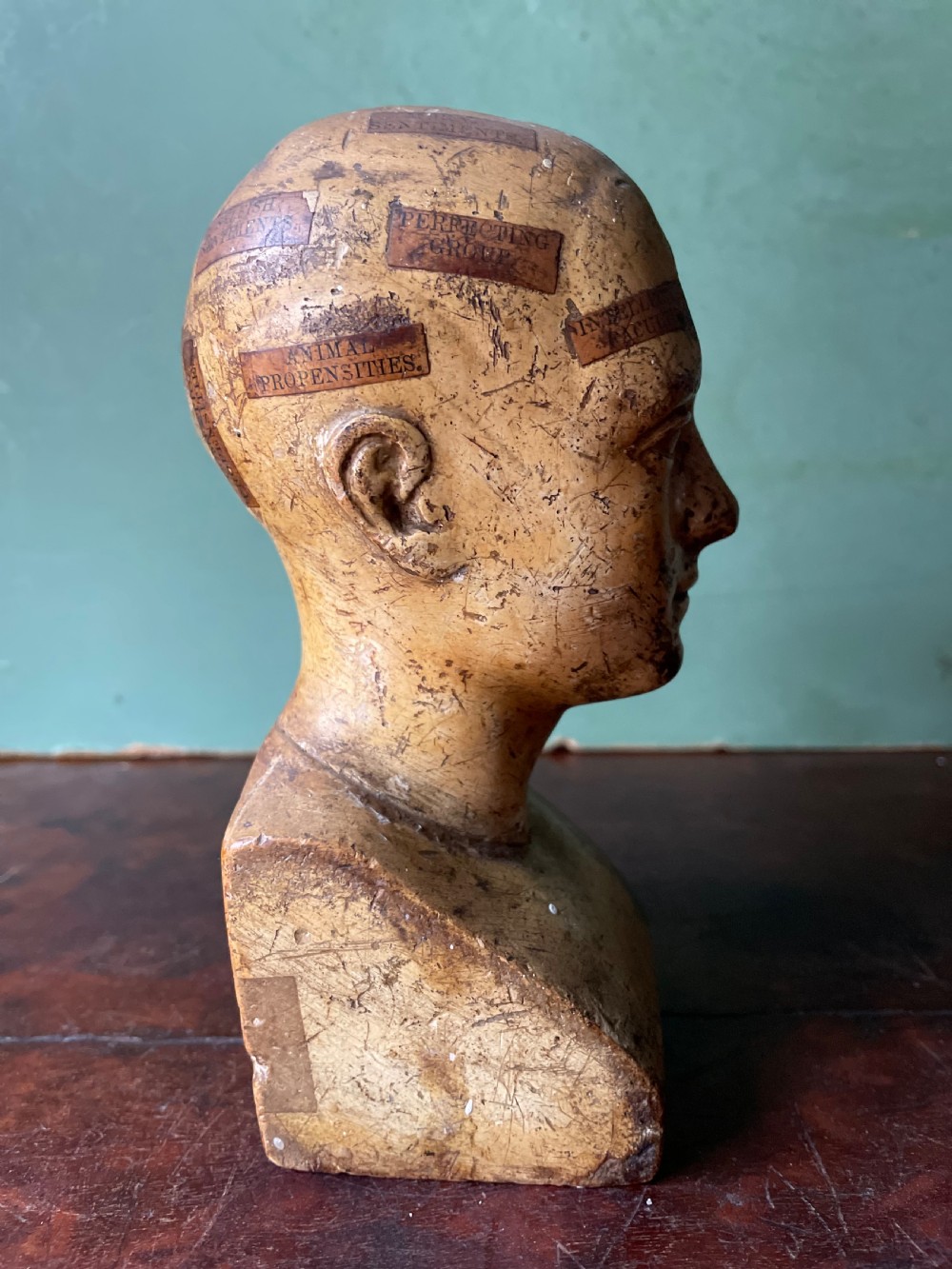 Interesting and rare C19th plaster phrenology head by A.L Vago . View XI