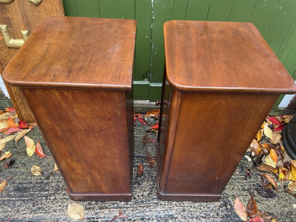 Pair of high quality mid C19th mahogany bedside pedestal cupboards. View XIII