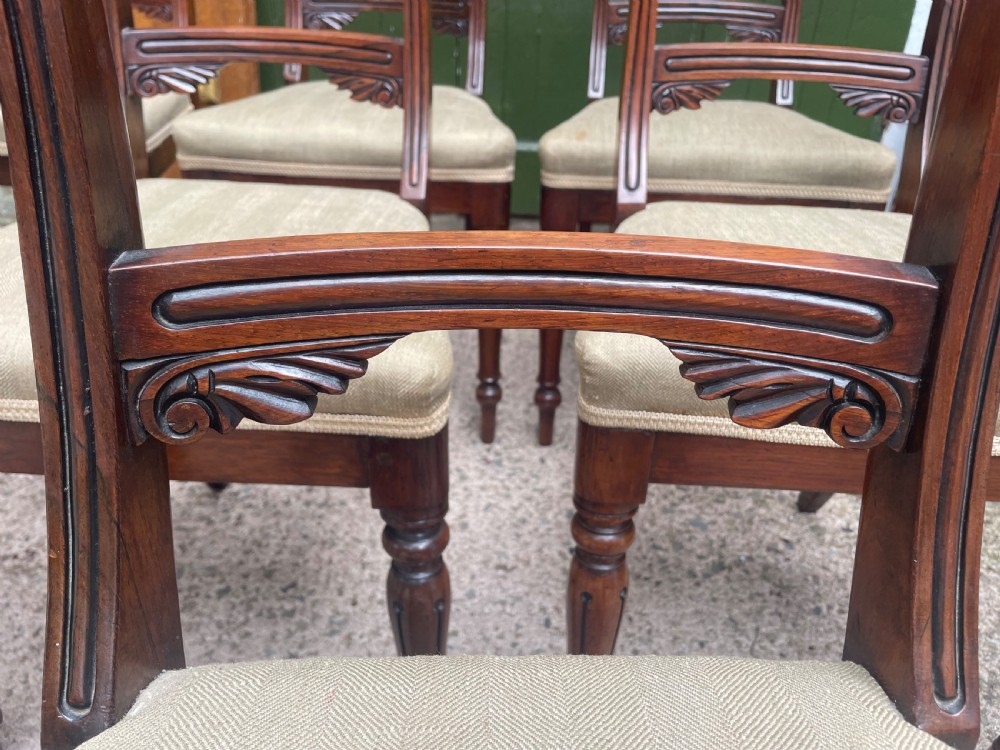 Fine quality set of 8 early C19th George IV period rosewood dining chairs. View VI