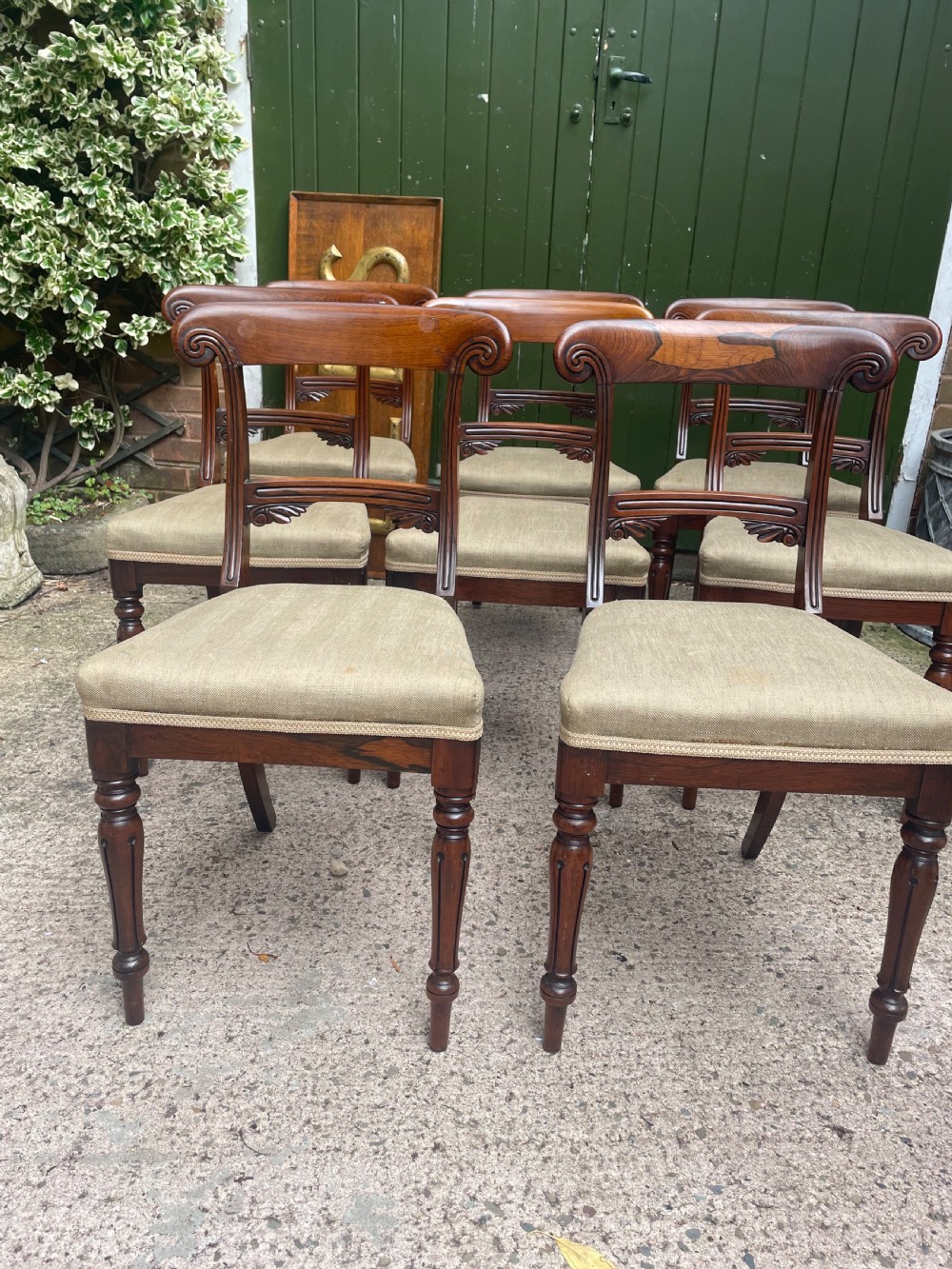 Fine quality set of 8 early C19th George IV period rosewood dining chairs. View VII