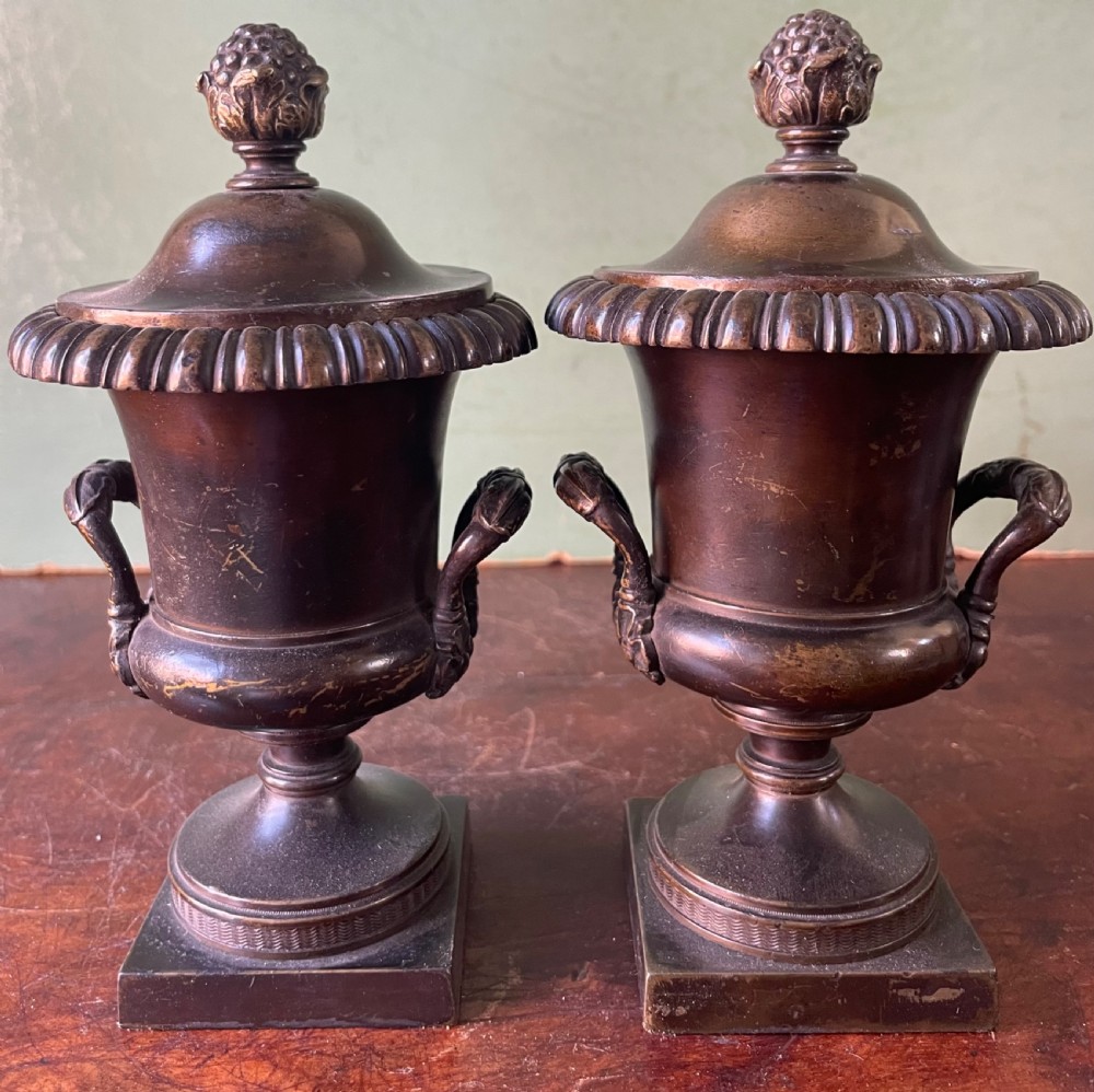 A pair of early nineteenth-century Regency dark brown bronze cassolettes with campana-shaped bodies, double loop handles, gadrooned lids topped with finials, resting on square plinth bases. View XI
