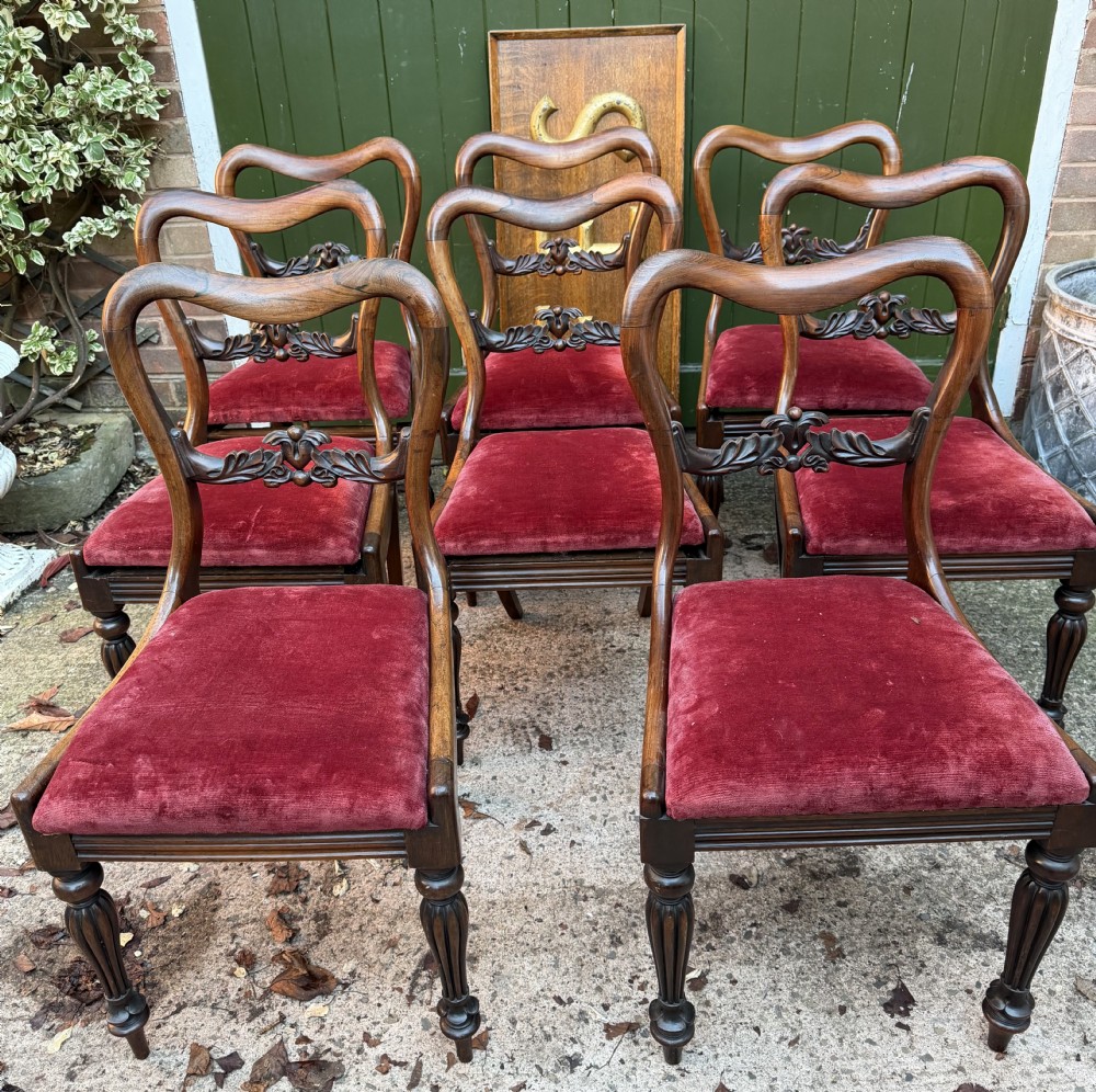 A set of eight early 19th-century William IV rosewood dining chairs with carved back rails, fluted front legs, and red velvet seats.