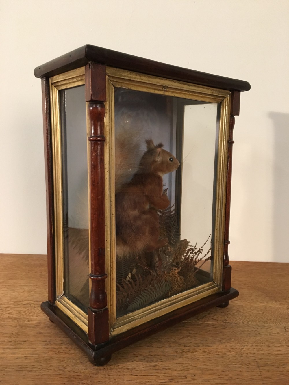 Taxidermy squirrel  View III