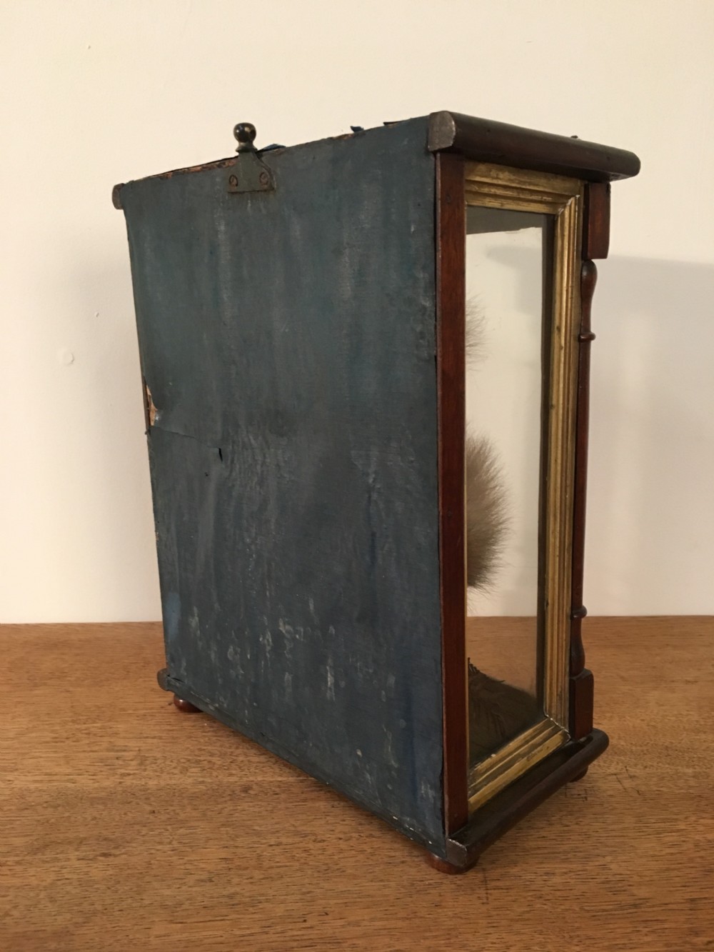 Taxidermy squirrel  View VII