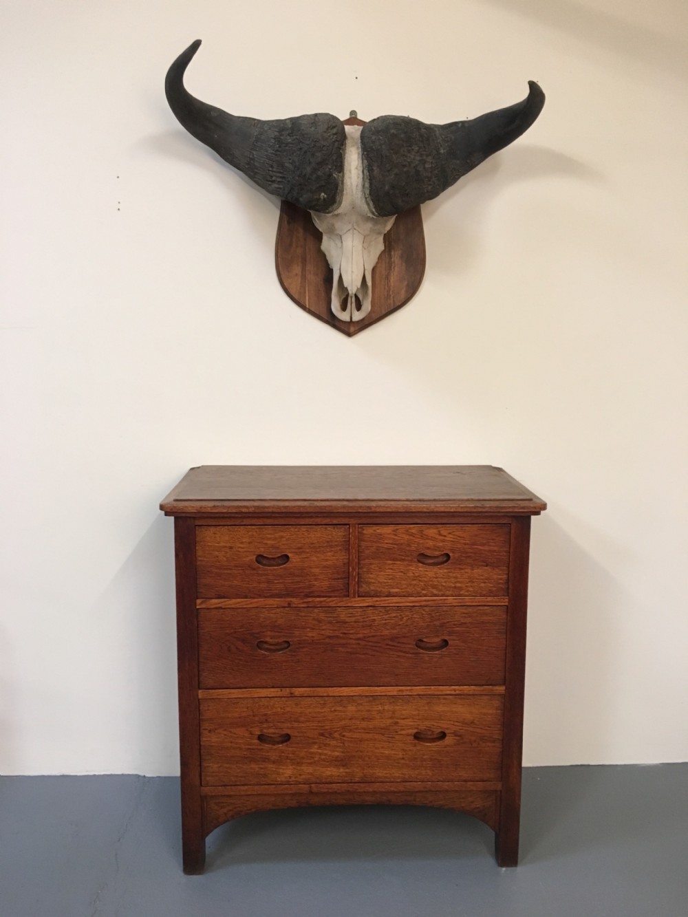 Huge decorative buffalo head View II