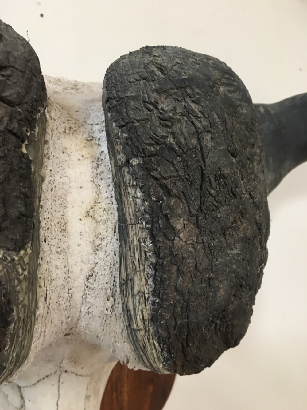 Huge decorative buffalo head View III
