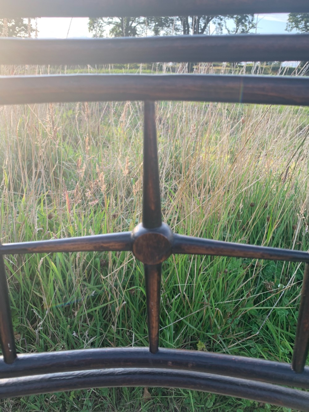 Morris and Co Sussex chair  View VII