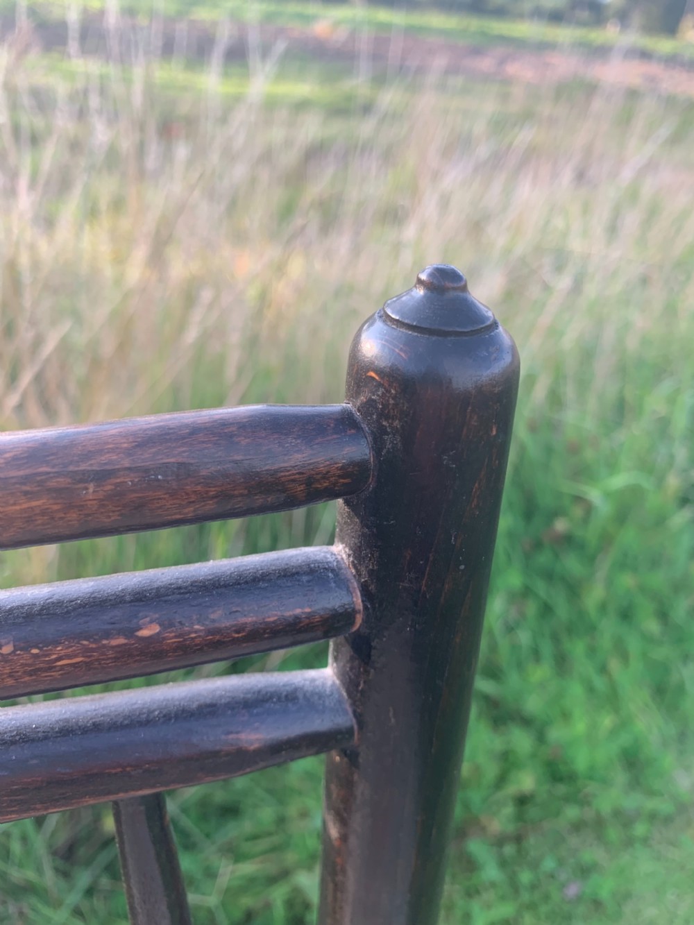 Morris and Co Sussex chair  View IX