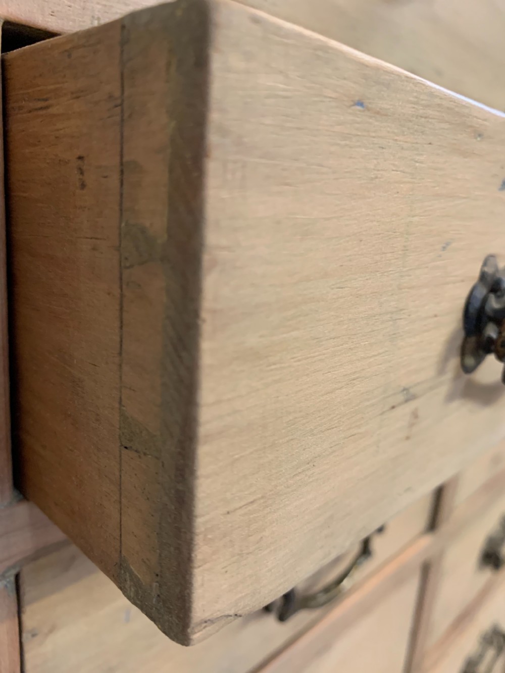 Pine bank of seed drawers  View V