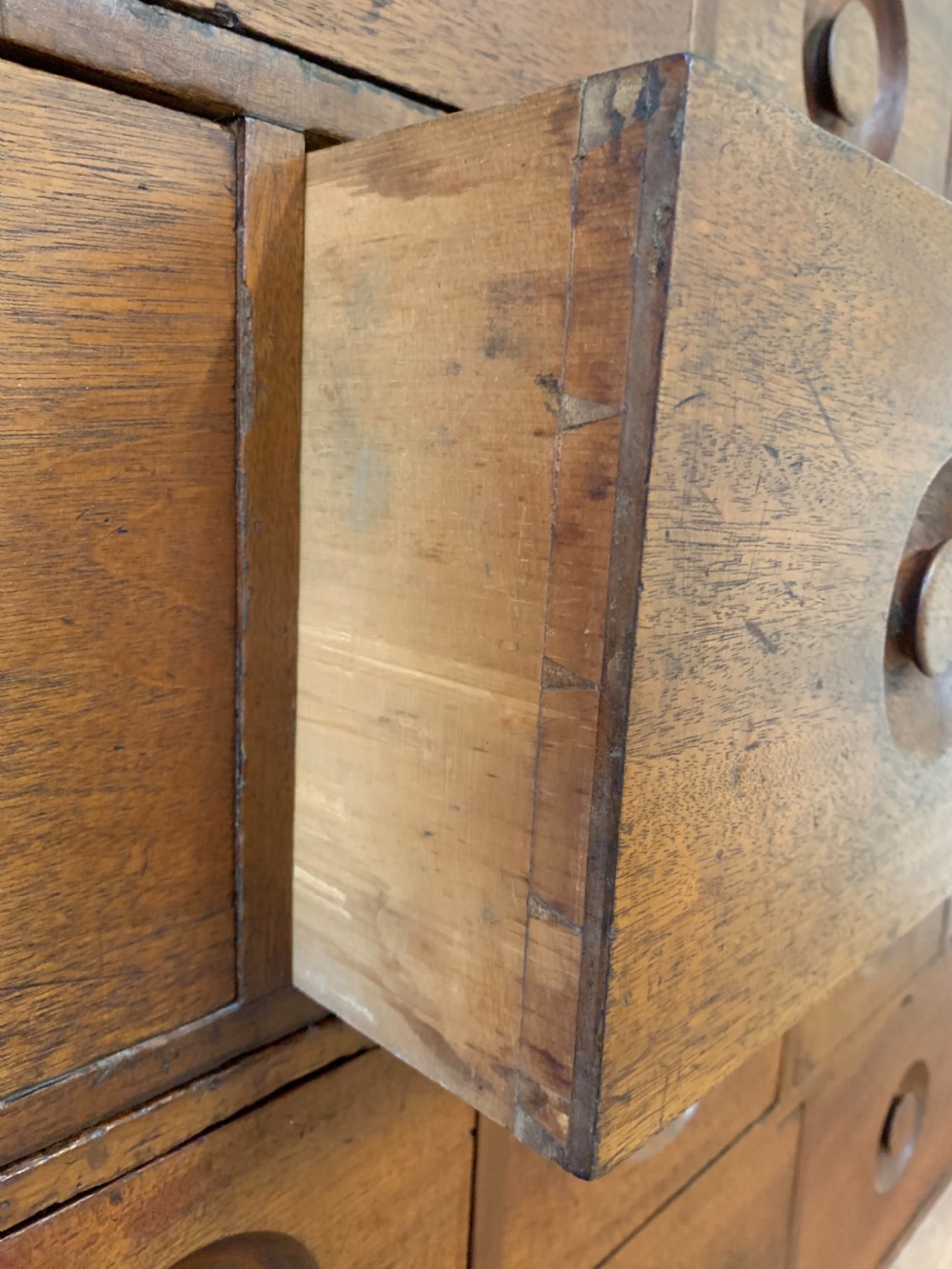 Large twin bank of seed drawers  View VI