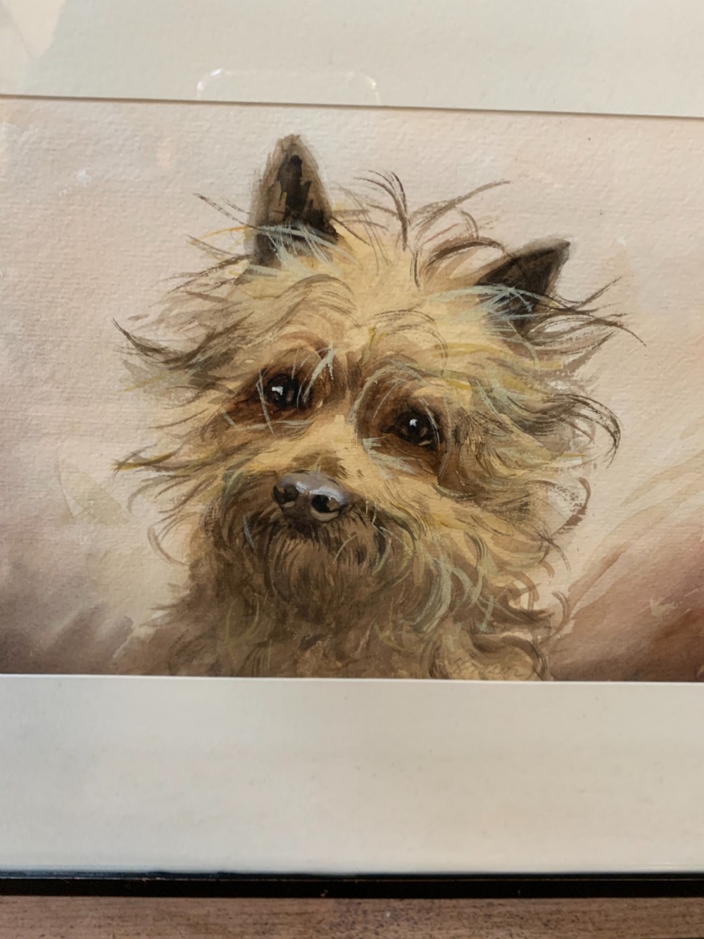 Good terrier dog watercolour  View III