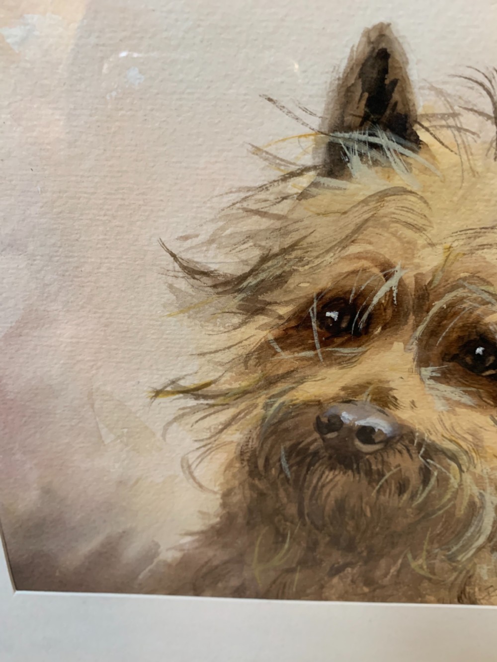 Good terrier dog watercolour  View IV