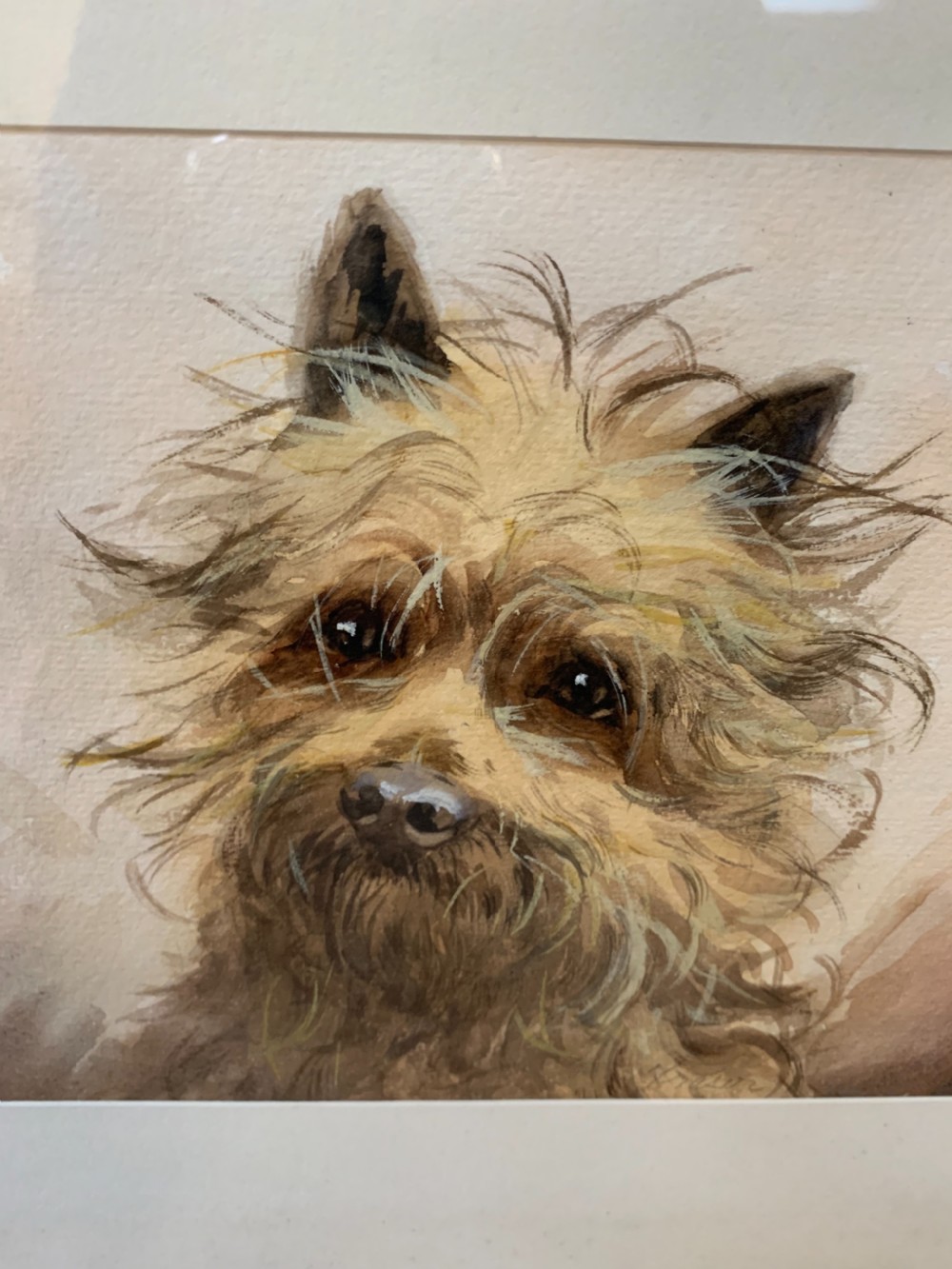Good terrier dog watercolour  View V
