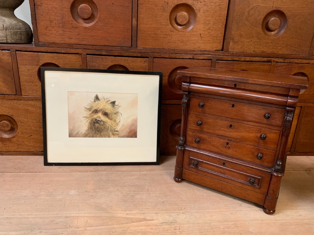 Good terrier dog watercolour  View VIII