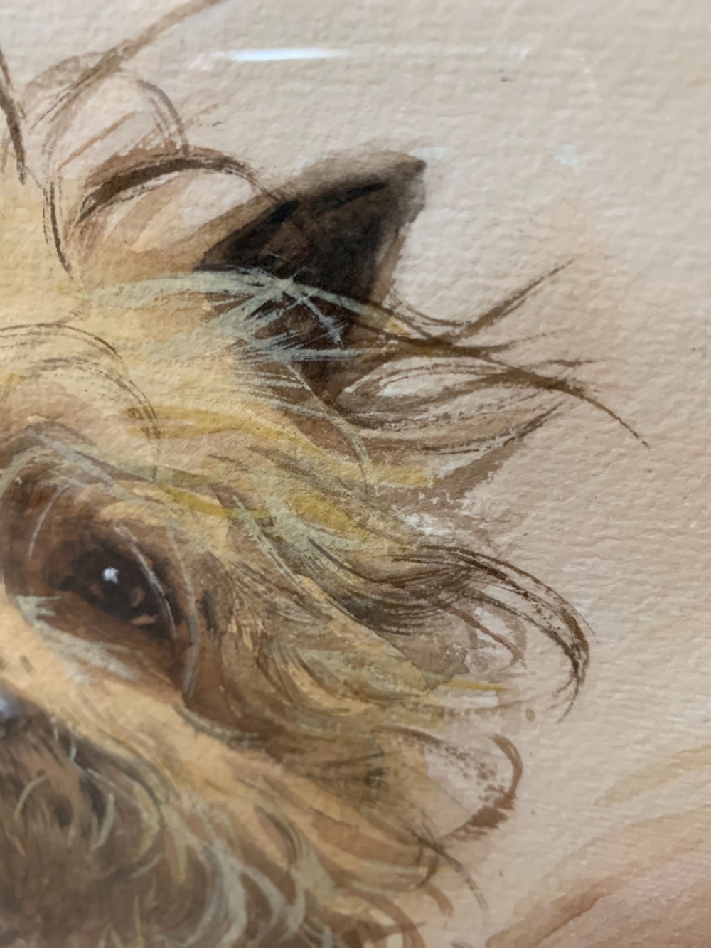 Good terrier dog watercolour  View IX