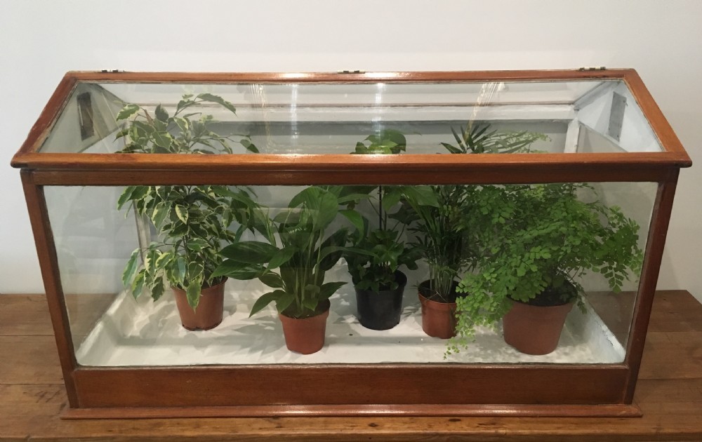 Large Antique Mahogany Framed Glass Terrarium