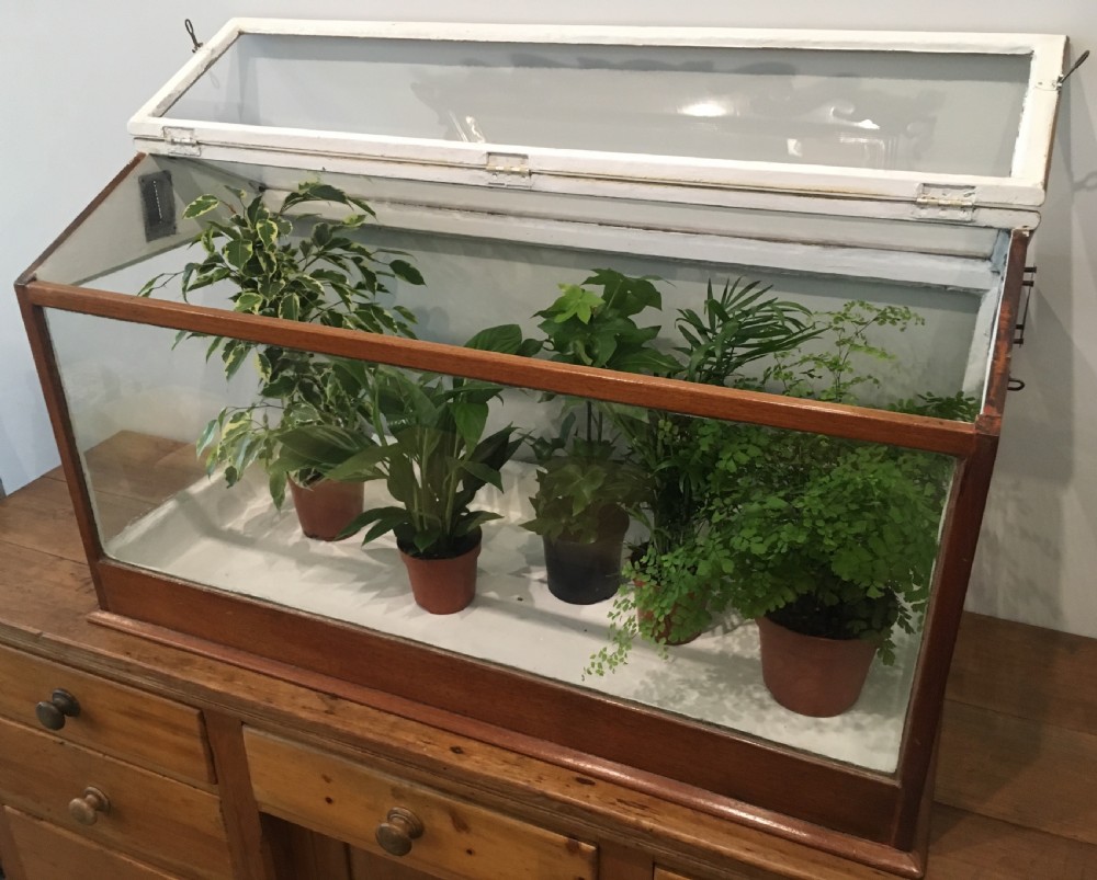 Large Antique Mahogany Framed Glass Terrarium View IV