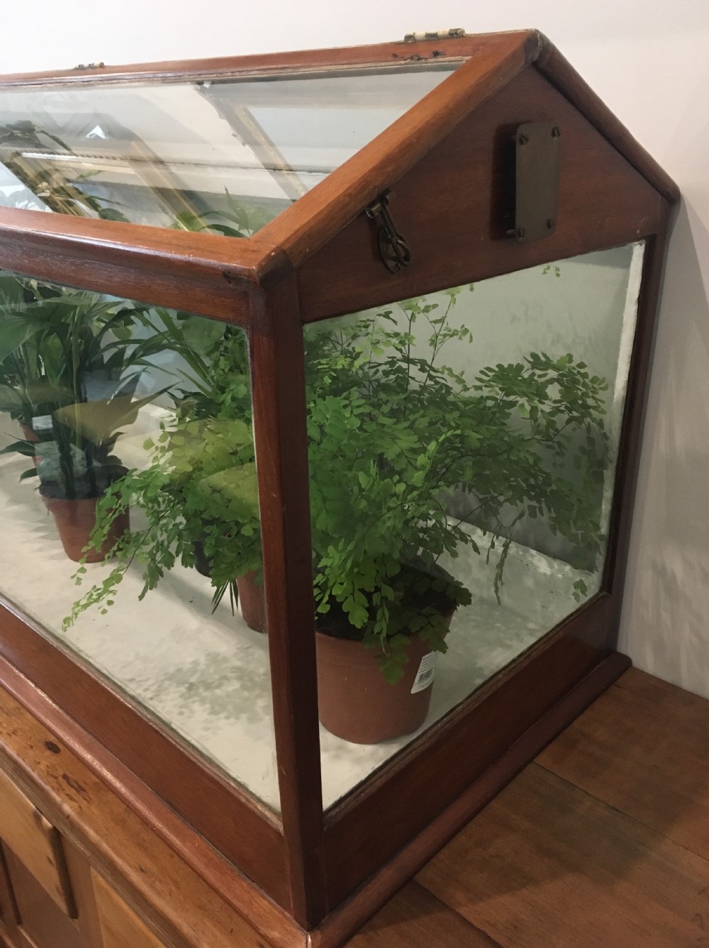Large Antique Mahogany Framed Glass Terrarium View V