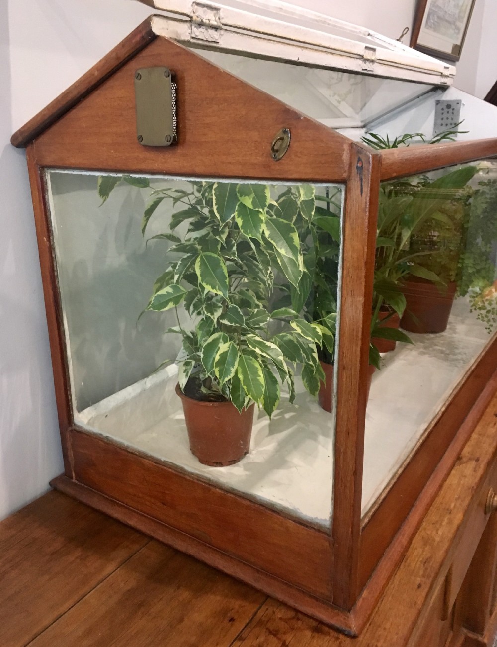 Large Antique Mahogany Framed Glass Terrarium View VI