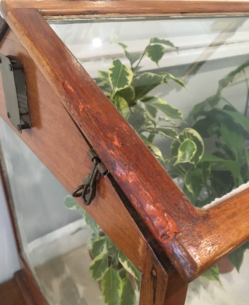 Large Antique Mahogany Framed Glass Terrarium View VIII
