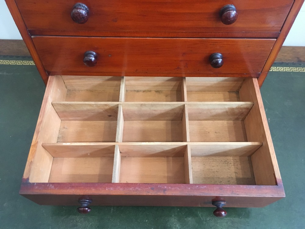 Antique Pine Tabletop Birds Egg Collectors Specimen Chest View IV