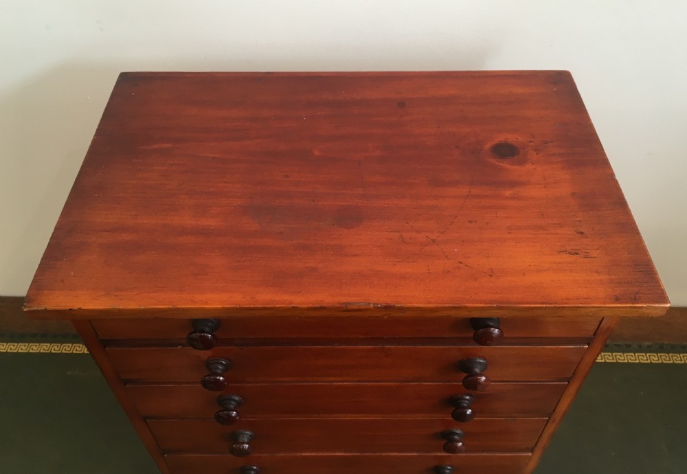 Antique Pine Tabletop Birds Egg Collectors Specimen Chest View X