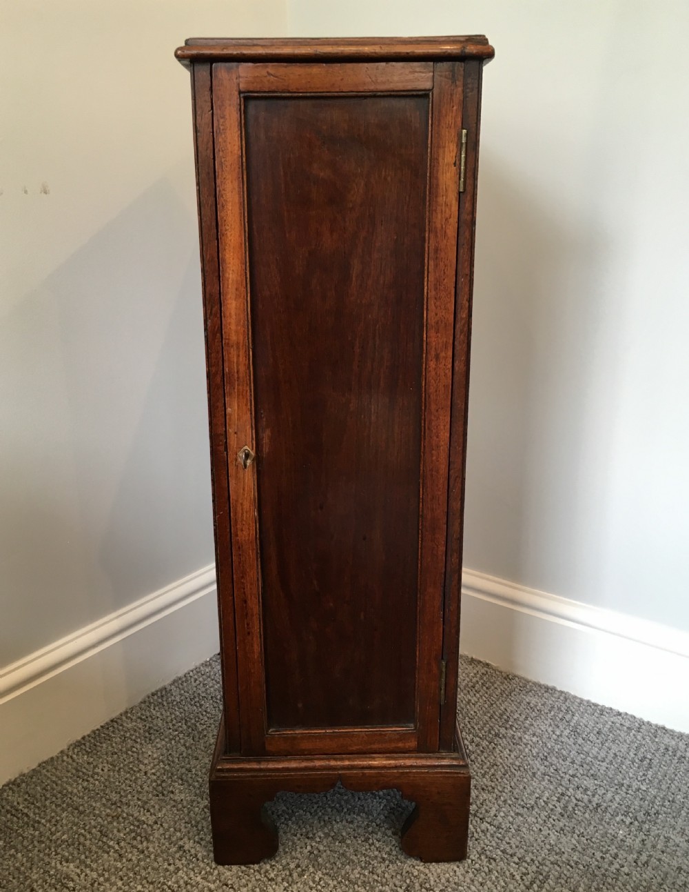 Antique Georgian Tall Mahogany Collectors Cabinet View II