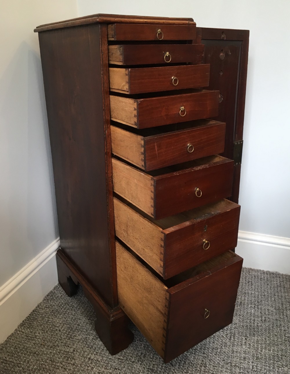 Antique Georgian Tall Mahogany Collectors Cabinet View IX