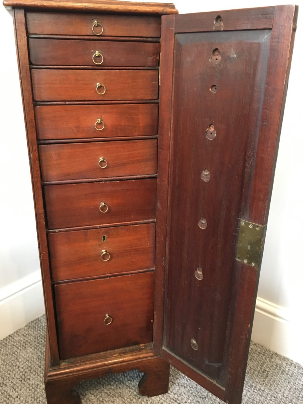 Antique Georgian Tall Mahogany Collectors Cabinet View XII