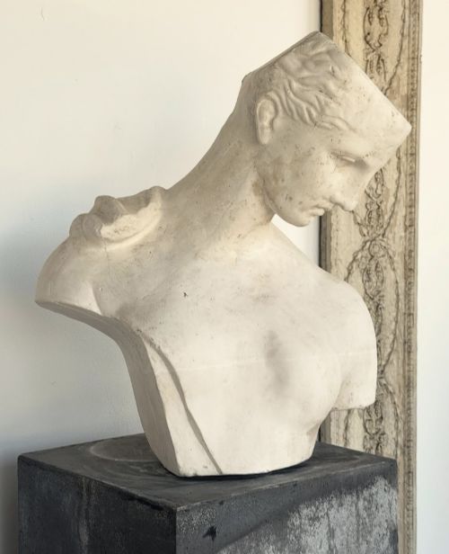 20th Century Plaster Bust